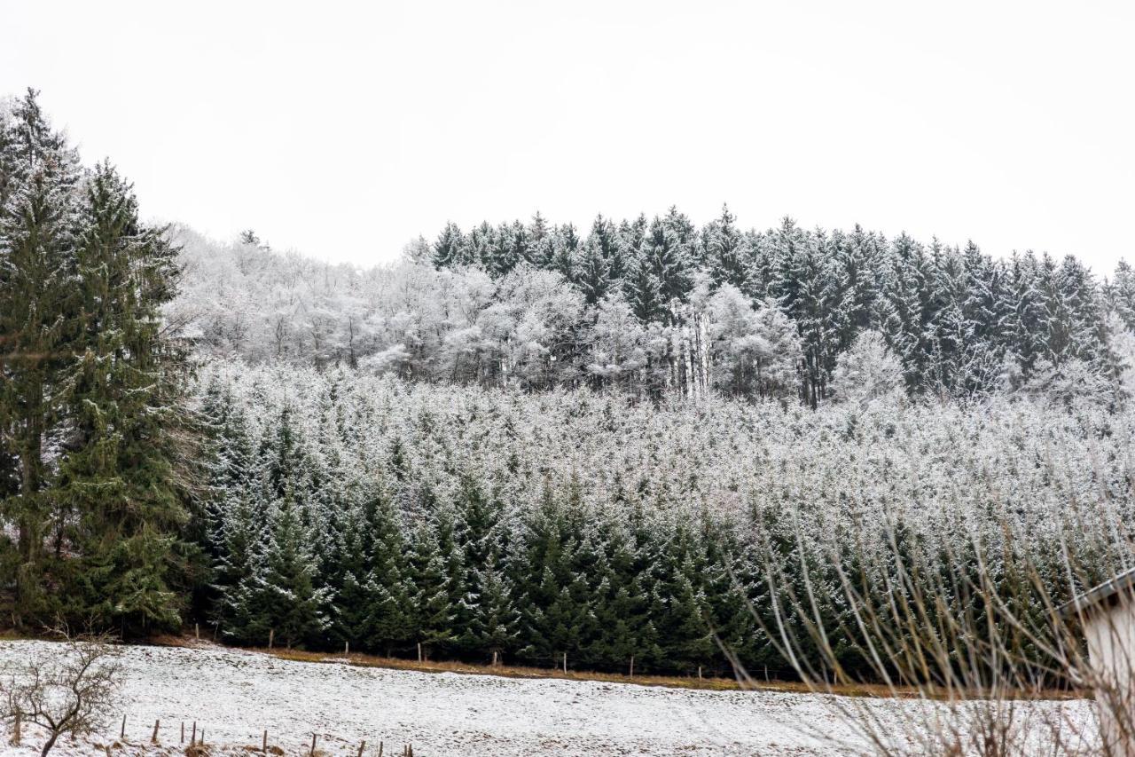 Hotel Tiefenhagen Sauerland レンネシュタット エクステリア 写真